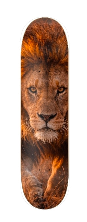 Ghost Lion ghost APEX predator