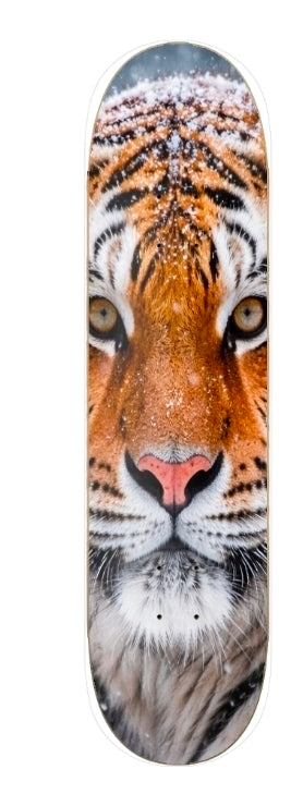 GHOST TIGER APEX PREDATOR