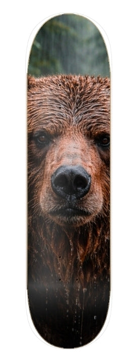 GHOST BEAR APEX predator
