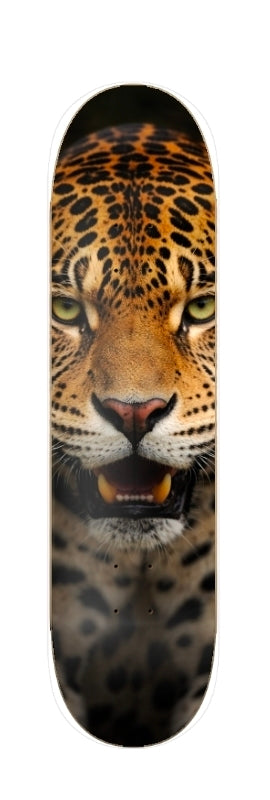 Ghost jaguar APEX predator